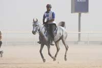 0902UAE_542