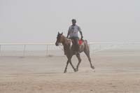 0902UAE_545