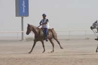 0902UAE_546