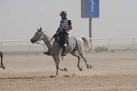 0902UAE_547