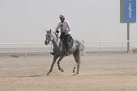 0902UAE_549