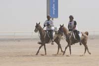 0902UAE_550