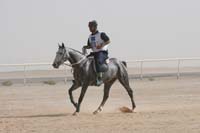 0902UAE_551