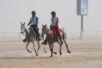 0902UAE_552