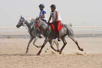 0902UAE_553