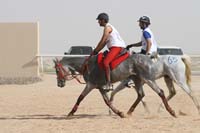 0902UAE_554