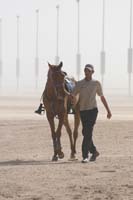 international/Bahrain/2009GrandPrix/gallery/02/thumbnails/0902UAE_555.jpg