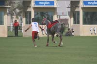 international/Bahrain/2009GrandPrix/gallery/02/thumbnails/0902UAE_556.jpg