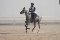 international/Bahrain/2009GrandPrix/gallery/02/thumbnails/0902UAE_557.jpg