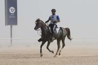 international/Bahrain/2009GrandPrix/gallery/02/thumbnails/0902UAE_558.jpg