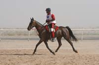 0902UAE_560