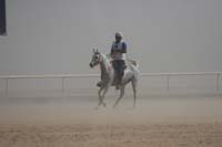 0902UAE_561