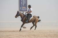 0902UAE_562