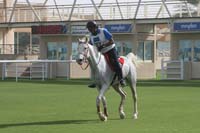 0902UAE_563