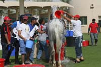 0902UAE_566
