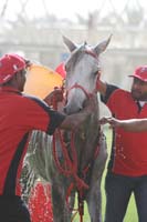 international/Bahrain/2009GrandPrix/gallery/02/thumbnails/0902UAE_567.jpg