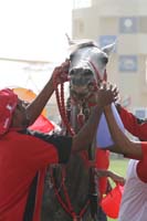 0902UAE_568