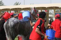 0902UAE_569