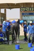 0902UAE_570