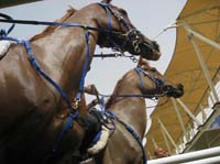 0902UAE_570A
