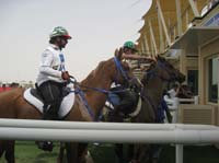 0902UAE_570C