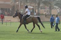 0902UAE_576