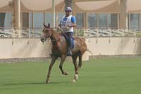 international/Bahrain/2009GrandPrix/gallery/03/thumbnails/0902UAE_587.jpg