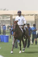 international/Bahrain/2009GrandPrix/gallery/03/thumbnails/0902UAE_624.jpg