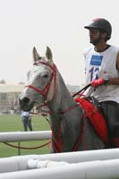 international/Bahrain/2009GrandPrix/gallery/03/thumbnails/0902UAE_633.jpg