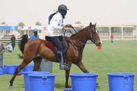 0902UAE_645