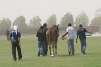 international/Bahrain/2009GrandPrix/gallery/03/thumbnails/0902UAE_647.jpg