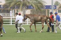 0902UAE_648