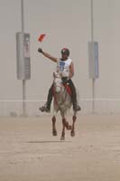 international/Bahrain/2009GrandPrix/gallery/04/thumbnails/0902UAE_676.jpg