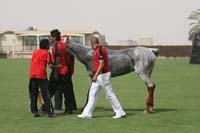 0902UAE_681