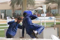 international/Bahrain/2009GrandPrix/gallery/04/thumbnails/0902UAE_685.jpg
