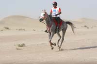 race2