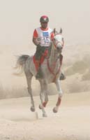 race3