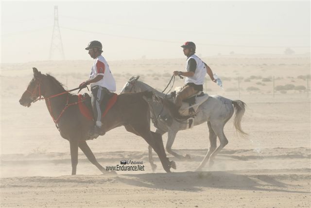 Giants Of Endurance #A0061