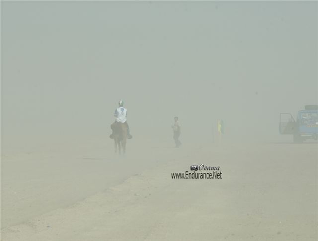 Giants Of Endurance #A0062