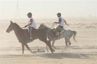 Giants Of Endurance #A0061