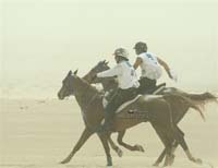 Giants Of Endurance #A0073