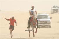 Giants Of Endurance #A0082