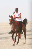 international/Bahrain/2009HMTheKingsEnduranceCup/gallery/mediagallerymar10/thumbnails/5shnasserriding.jpg