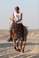 ride12