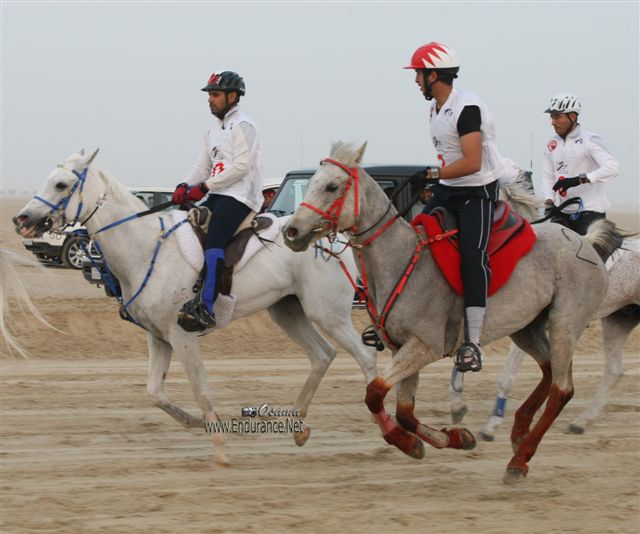 2009HMTheKingofBahra#A0099