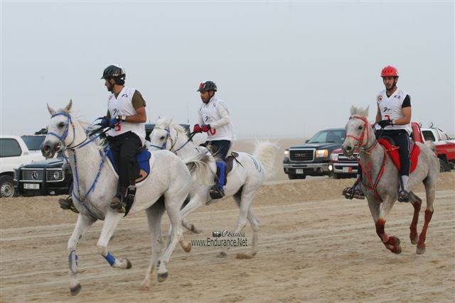 2009HMTheKingofBahra#A0101