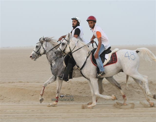 2009HMTheKingofBahra#A0107
