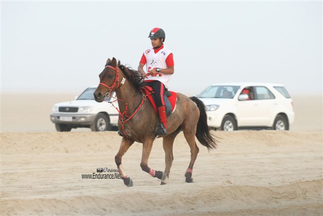 2009HMTheKingofBahra#A0114