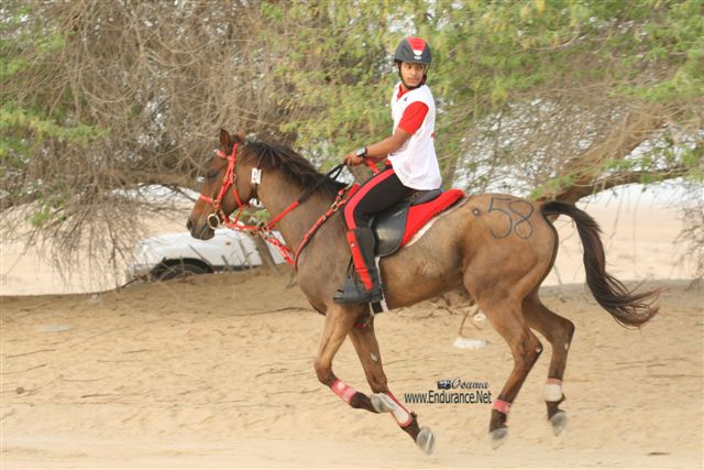 2009HMTheKingofBahra#A0129