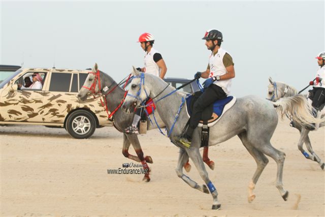 2009HMTheKingofBahra#A0131